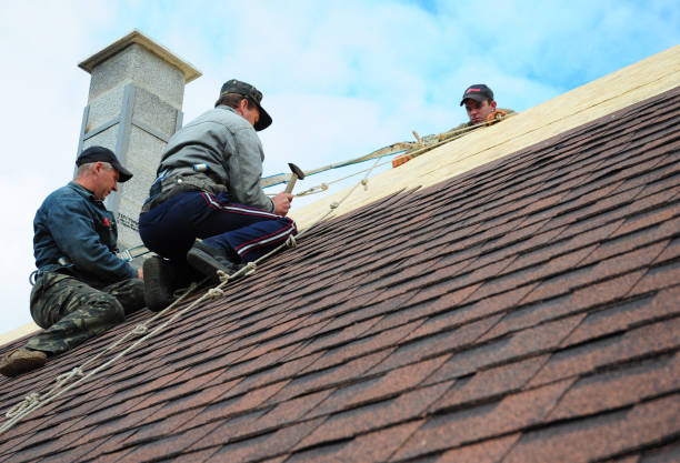 Best Metal Roofing Contractor  in Fairview, GA